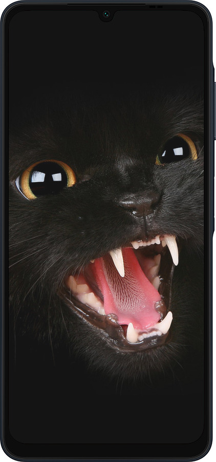 Силиконовый чехол Чёрная кошка для Samsung Galaxy A06 4G - 932u-3776 изображение 