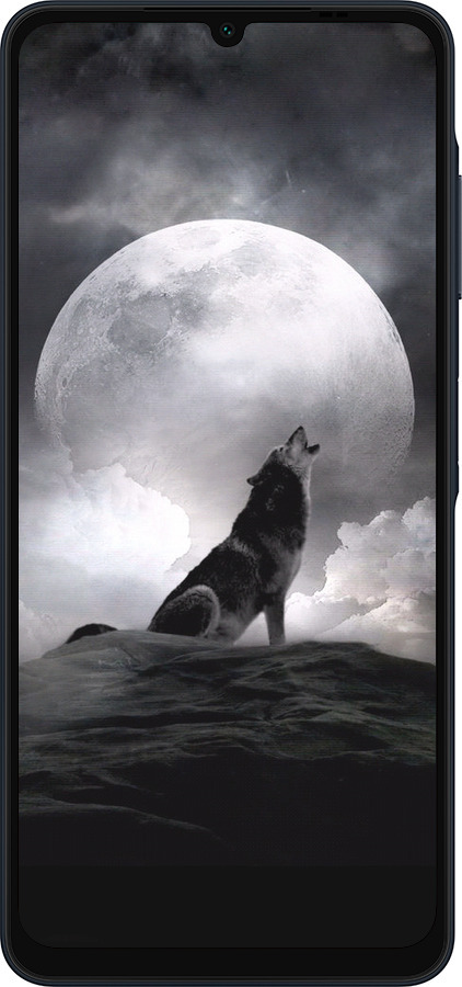 Силиконовый чехол Воющий волк для Samsung Galaxy A06 4G - 934u-3776 изображение 