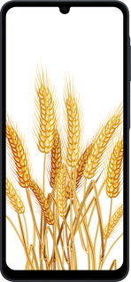 Силиконовый чехол Колоски пшеници для Samsung galaxy a07 - 5866u-4059 изображение 