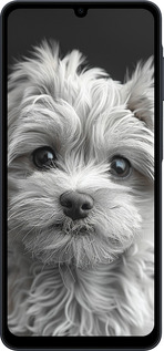 Силіконовий чехол Мальтипу на чорному фоні для Samsung galaxy a07 - 6156u-4059 изображение 