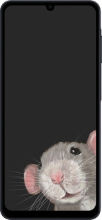 Силіконовий чехол The Peeking Rat для Samsung galaxy a07 - 6442u-4059 изображение 