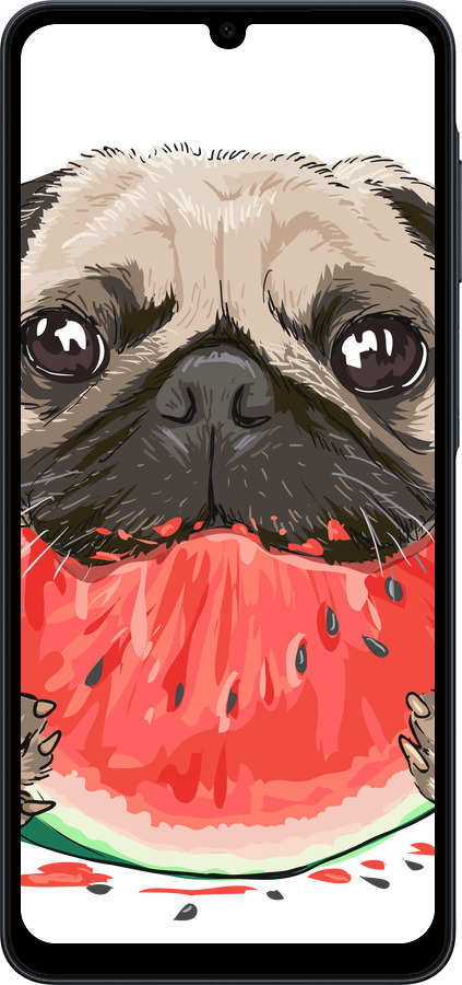Силиконовый чехол Мопс и арбуз для Samsung galaxy a07 - 4665u-4059 изображение 