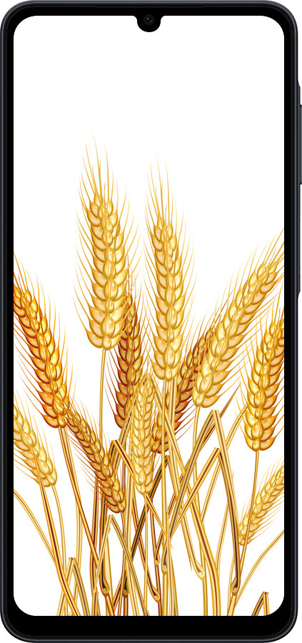 Силиконовый чехол Колоски пшеници для Samsung galaxy a07 - 5866u-4059 изображение 