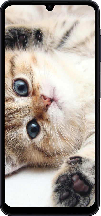 Силиконовый чехол Котик для Samsung galaxy a07 - 6024u-4059 изображение 