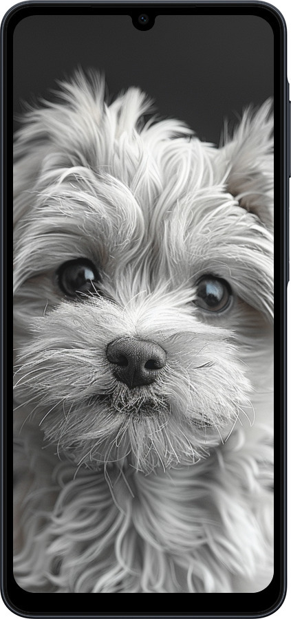 Силіконовий чехол Мальтипу на чорному фоні для Samsung galaxy a07 - 6156u-4059 изображение 