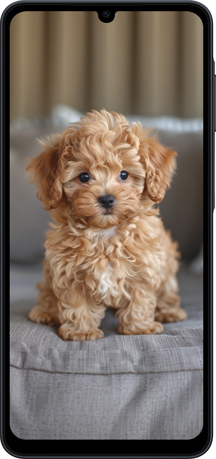 Силиконовый чехол Mini-maltipoo для Samsung galaxy a07 - 6158u-4059 изображение 