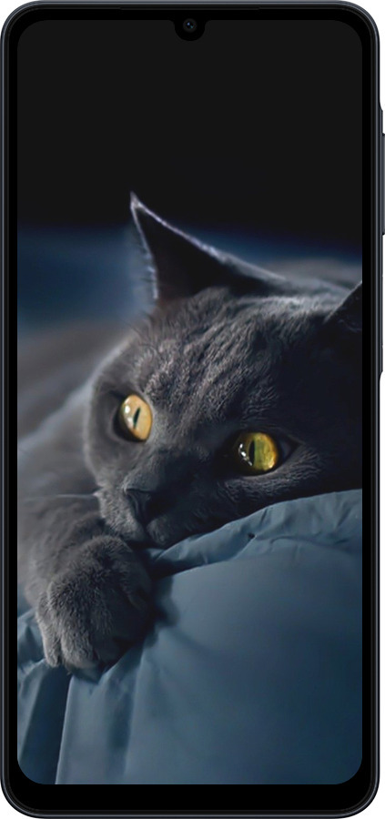 Силіконовий чехол Димчастий кіт для Samsung galaxy a07 - 825u-4059 изображение 