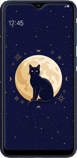 3D пластиковый матовый чехол Cute Cat Celestial/Witchy для Samsung Galaxy A10 2019 A105F - 6787m-1671 изображение 