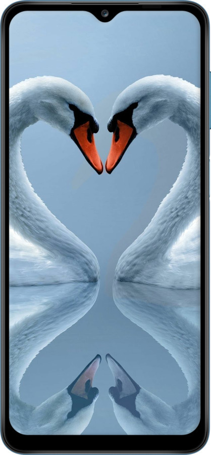 TPU чехол Лебеди для Samsung Galaxy M12 M127F - 6007b-2360 изображение 