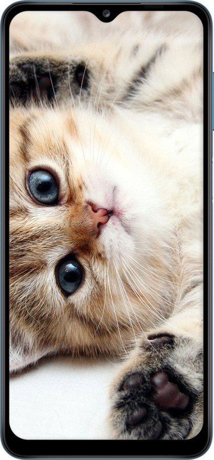 TPU чехол Котик для Samsung Galaxy A12 A125F - 6024b-2201 изображение 