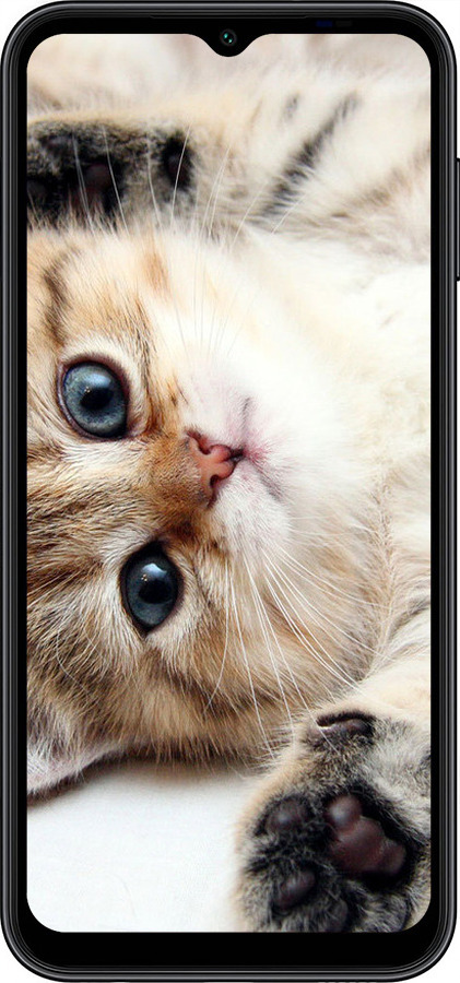 TPU чехол Котик для Samsung Galaxy A14 A145F - 6024b-2937 изображение 