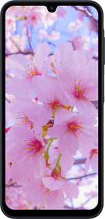 TPU чехол Сакура для Samsung Galaxy A15 - 6029b-3357 изображение 