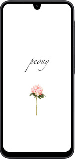 Силиконовый чехол Пион для Samsung Galaxy A17 - 4366u-4060 изображение 