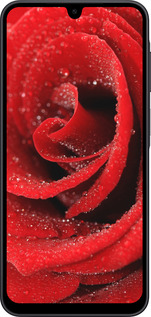 Силиконовый чехол Красная роза для Samsung Galaxy A17 - 529u-4060 изображение 