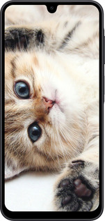 Силіконовий чехол Котик для Samsung Galaxy A17 - 6024u-4060 изображение 