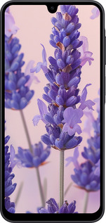 Силиконовый чехол Лаванда для Samsung Galaxy A17 - 6037u-4060 изображение 