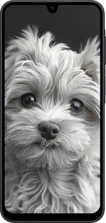 Силиконовый чехол Мальтипу на чорном фоне для Samsung Galaxy A17 - 6156u-4060 изображение 