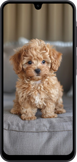 Силиконовый чехол Mini-maltipoo для Samsung Galaxy A17 - 6158u-4060 изображение 