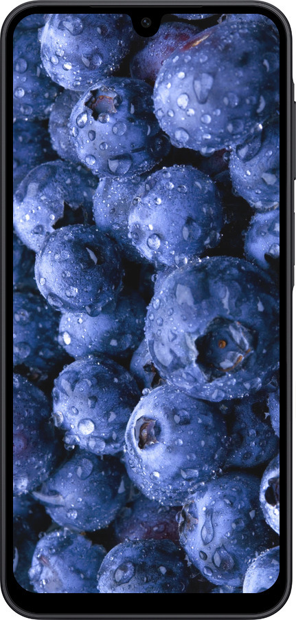 Силиконовый чехол Голубика для Samsung Galaxy A17 - 4459u-4060 изображение 