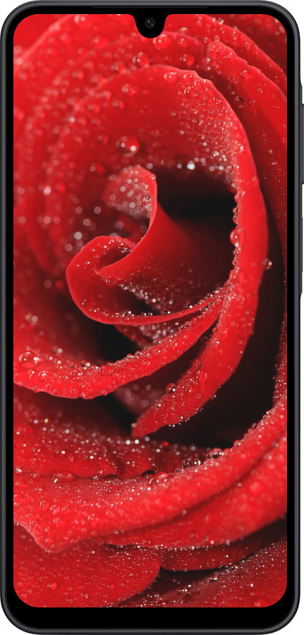 Силиконовый чехол Красная роза для Samsung Galaxy A17 - 529u-4060 изображение 