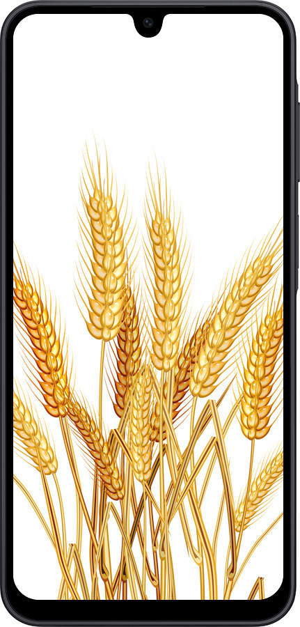 Силиконовый чехол Колоски пшеници для Samsung Galaxy A17 - 5866u-4060 изображение 