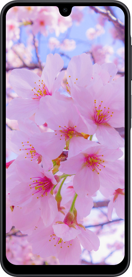 Силиконовый чехол Сакура для Samsung Galaxy A17 - 6029u-4060 изображение 