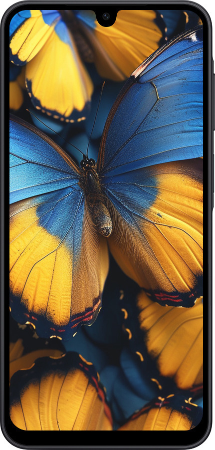 Силиконовый чехол Желто-голубые бабочки для Samsung Galaxy A17 - 6046u-4060 изображение 