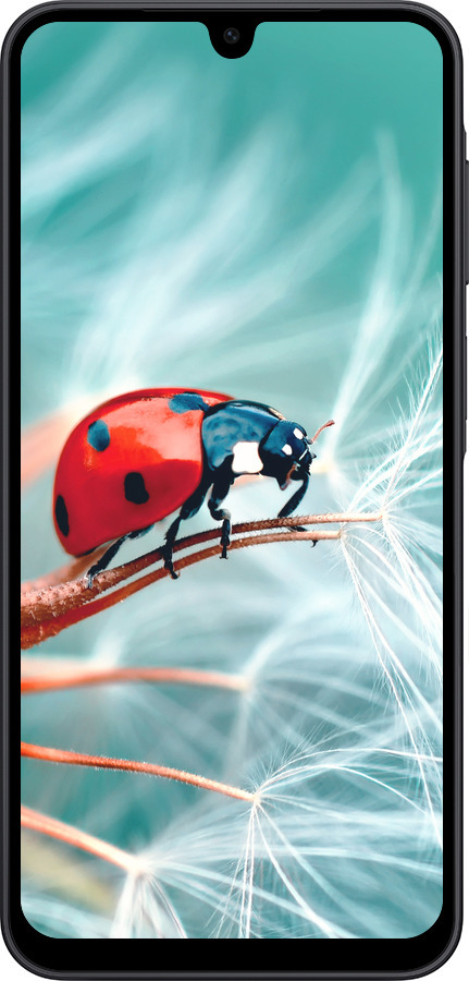 Силиконовый чехол Божья коровка для Samsung Galaxy A17 - 6049u-4060 изображение 