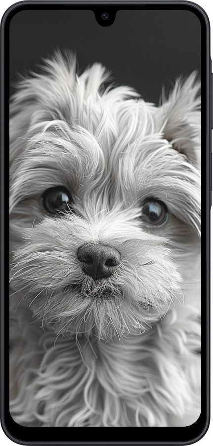 Силиконовый чехол Мальтипу на чорном фоне для Samsung Galaxy A17 - 6156u-4060 изображение 