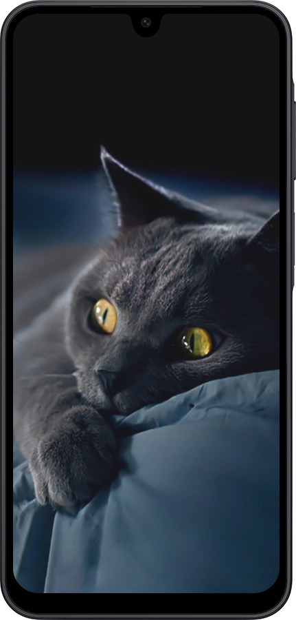 Силіконовий чехол Димчастий кіт для Samsung Galaxy A17 - 825u-4060 изображение 