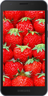 Силіконовий чехол Полуниця для Samsung Galaxy A2 Core A260F - 6020u-1683 изображение 