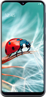 2D пластиковый чехол Божья коровка для Samsung Galaxy A20e A202F - 6049t-1709 изображение 