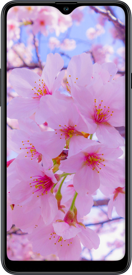 2D пластиковый чехол Сакура для Samsung Galaxy A20s A207F - 6029t-1775 изображение 