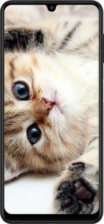 2D пластиковый чехол Котик для Samsung Galaxy M32 M325F - 6024t-2558 изображение 