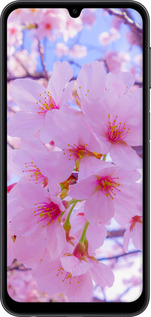 Силиконовый чехол Сакура для Samsung Galaxy A24 A245F - 6029u-3020 изображение 