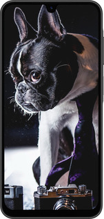 Силиконовый чехол Бульдог-фотограф для Samsung Galaxy A26 - 142u-3881 изображение 