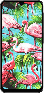 Силиконовый чехол Tropical background для Samsung Galaxy A26 - 4016u-3881 изображение 