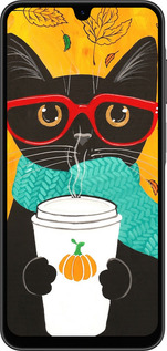 Силіконовий чехол Осінній кіт для Samsung Galaxy A26 - 4026u-3881 изображение 
