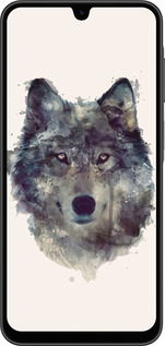 Силіконовий чехол Вовк-арт для Samsung Galaxy A26 - 4163u-3881 изображение 