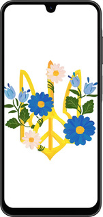 Силиконовый чехол Герб v3 для Samsung Galaxy A26 - 5265u-3881 изображение 