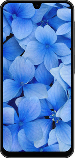 Силиконовый чехол Синие цветы для Samsung Galaxy A26 - 526u-3881 изображение 