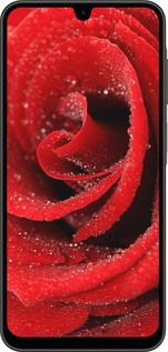Силиконовый чехол Красная роза для Samsung Galaxy A26 - 529u-3881 изображение 