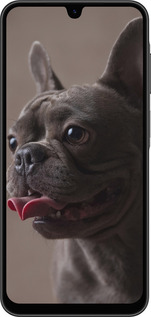 Силіконовий чехол Милий бульдог для Samsung Galaxy A26 - 5546u-3881 изображение 