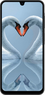 Силиконовый чехол Лебеди для Samsung Galaxy A26 - 6007u-3881 изображение 