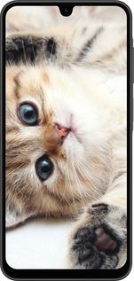 Силиконовый чехол Котик для Samsung Galaxy A26 - 6024u-3881 изображение 