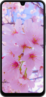 Силіконовий чехол Сакура для Samsung Galaxy A26 - 6029u-3881 изображение 