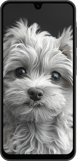 Силиконовый чехол Мальтипу на чорном фоне для Samsung Galaxy A26 - 6156u-3881 изображение 