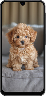 Силиконовый чехол Mini-maltipoo для Samsung Galaxy A26 - 6158u-3881 изображение 