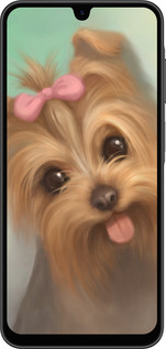 Силіконовий чехол Намальований йоркширський тер'єр для Samsung Galaxy A26 - 928u-3881 изображение 