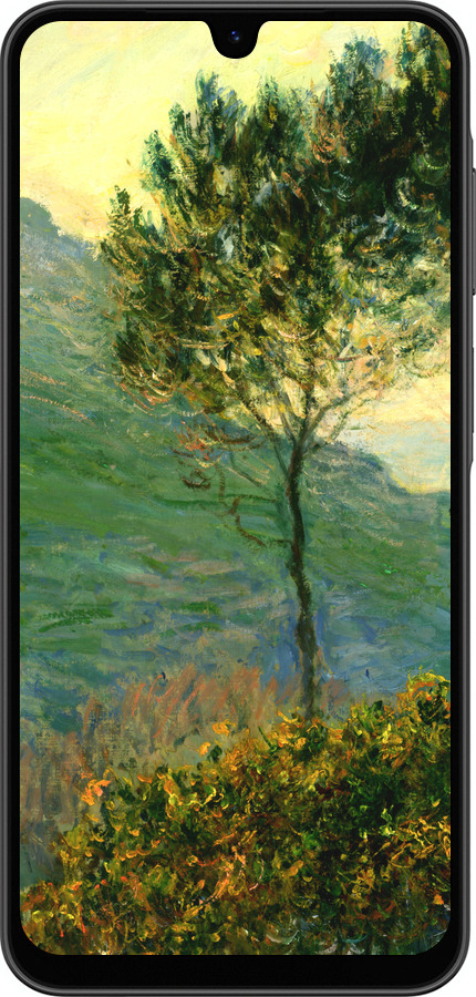 Силиконовый чехол Клод Моне для Samsung Galaxy A26 - 1193u-3881 изображение 